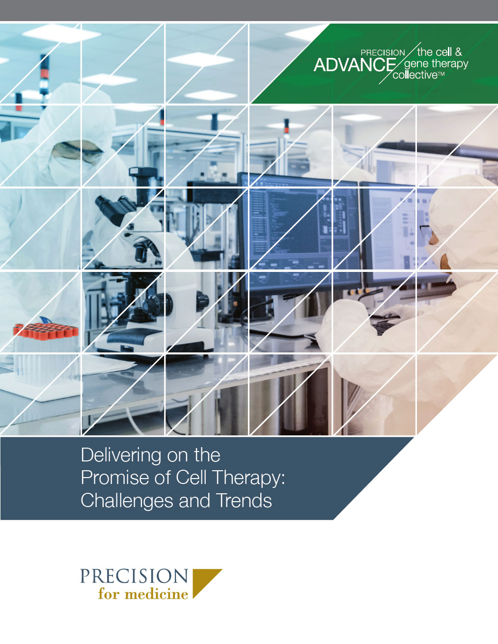 Delivering on the Promise of Cell Therapy: Challenges and Trends white paper thumbnail