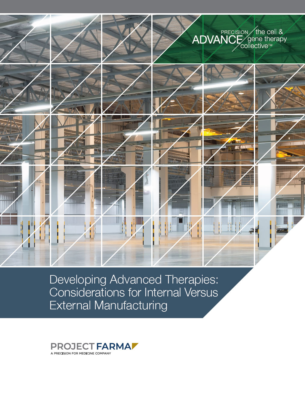 Developing Advanced Therapies: Considerations for Internal Versus External Manufacturing white paper thumbnail