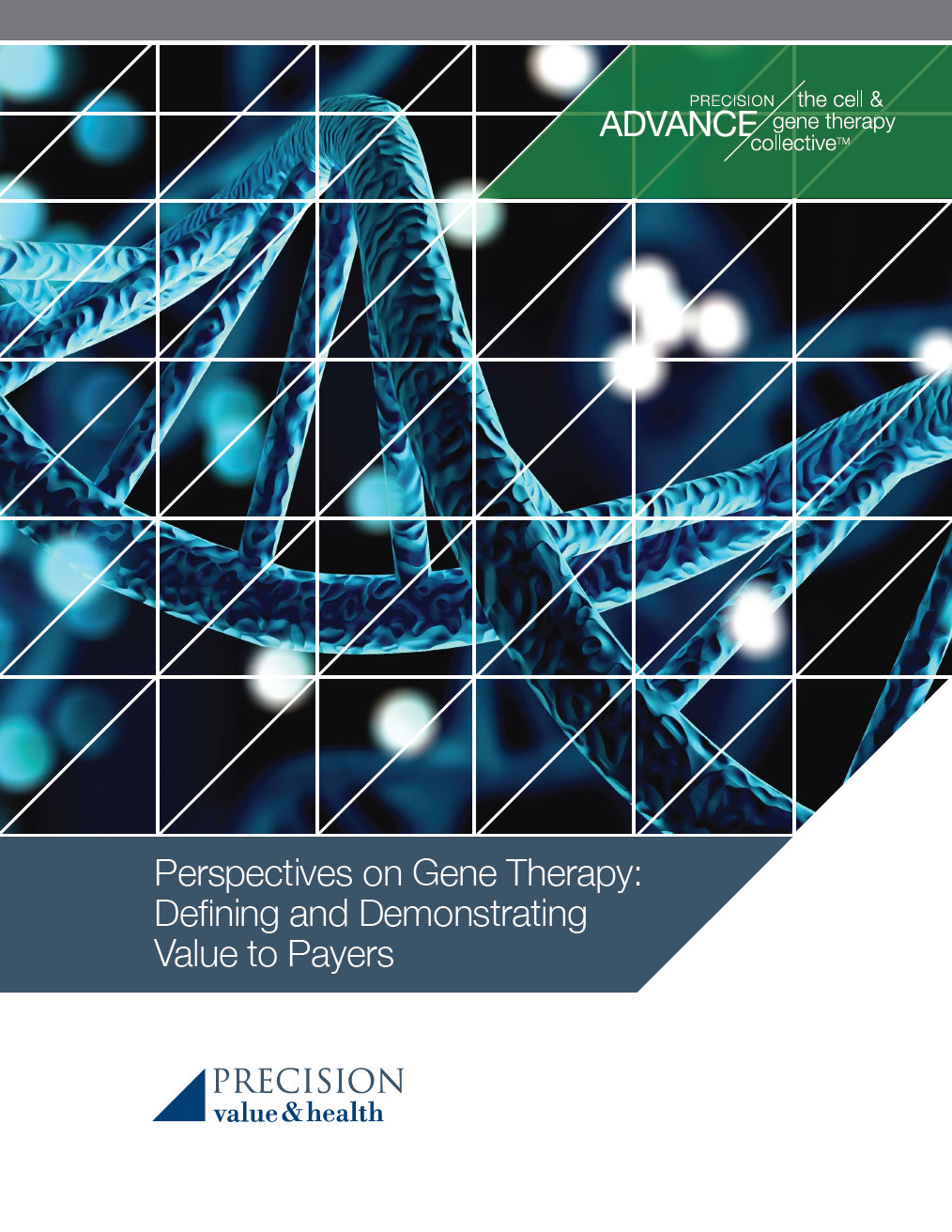 Perspectives on Gene Therapy: Defining and Demonstrating Value to Payers white paper thumbnail
