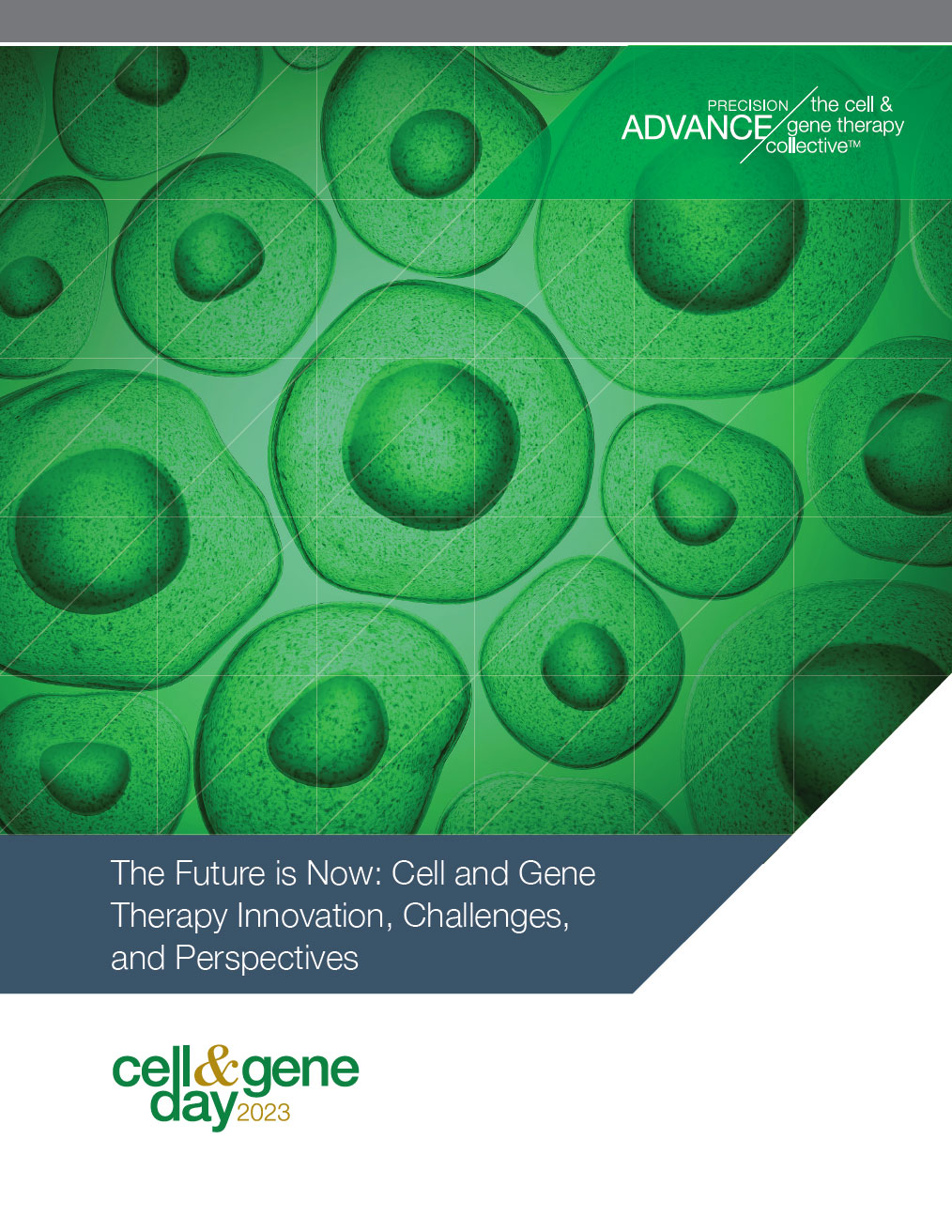 The Future is Now: Cell and Gene Therapy Innovation, Challenges, and Perspectives